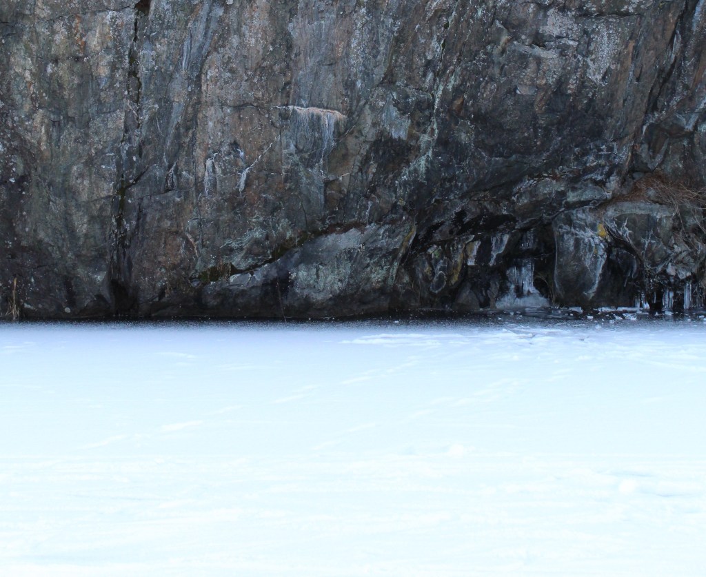 Global synthesis on marine regime shifts: drivers and&nbsp;impacts