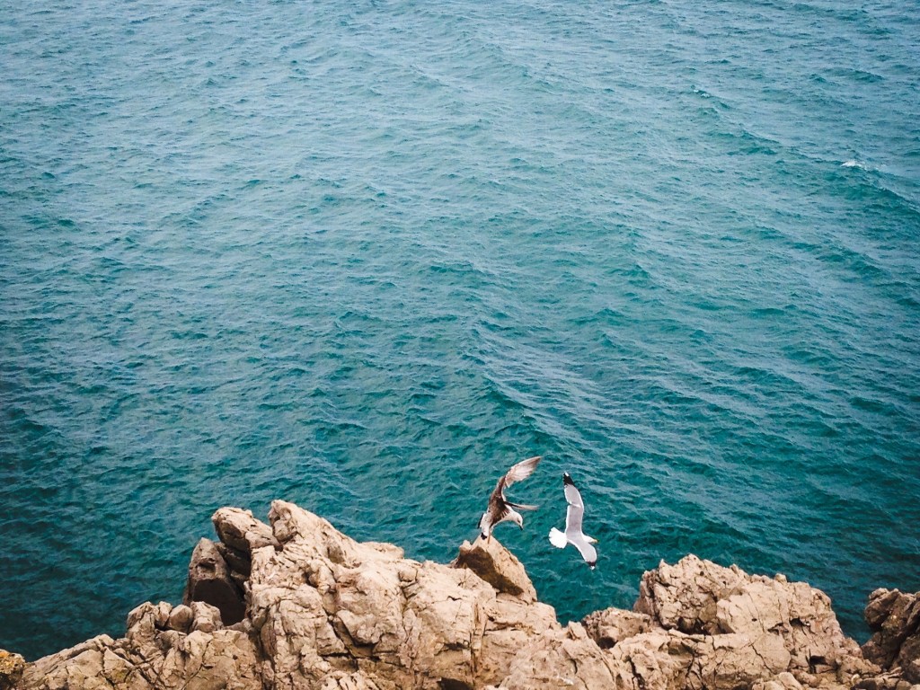 Coastal marine eutrophication