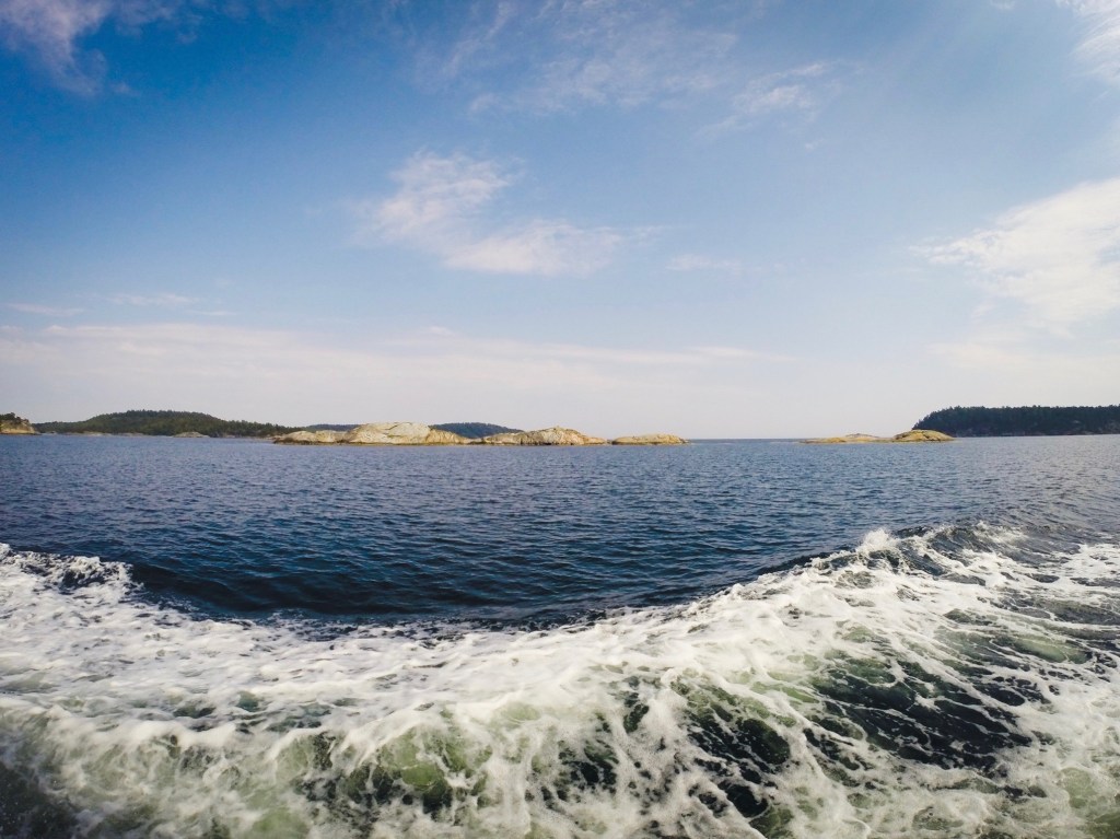 Optimal choice of fishing&nbsp;grounds