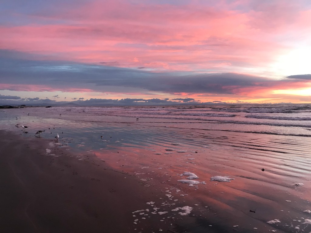 A marine regime shift&nbsp;year-by-year