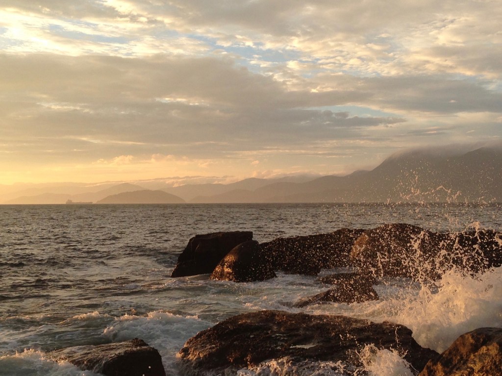 Marine systems, critical thresholds and&nbsp;networks