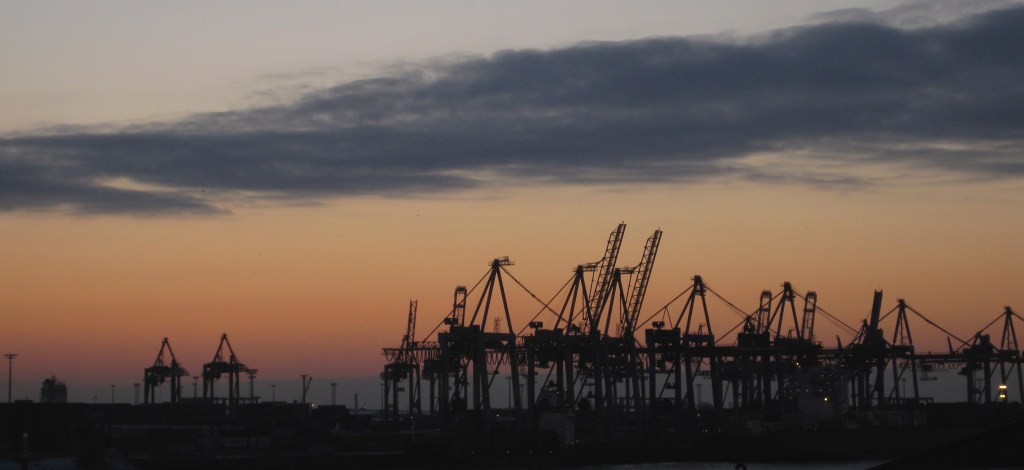 Our biggest marine environment&nbsp;worries