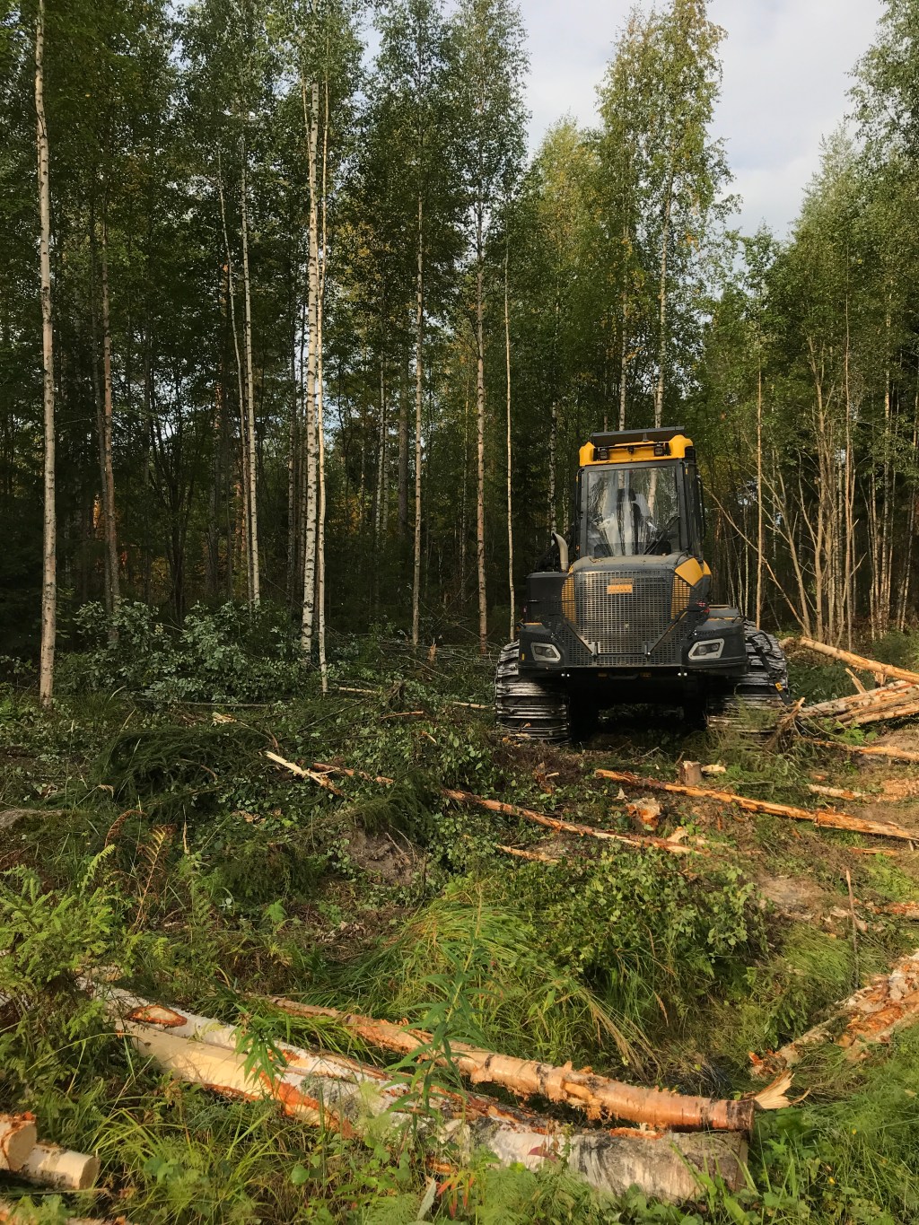 Tipping points and resilience in natural resource&nbsp;systems