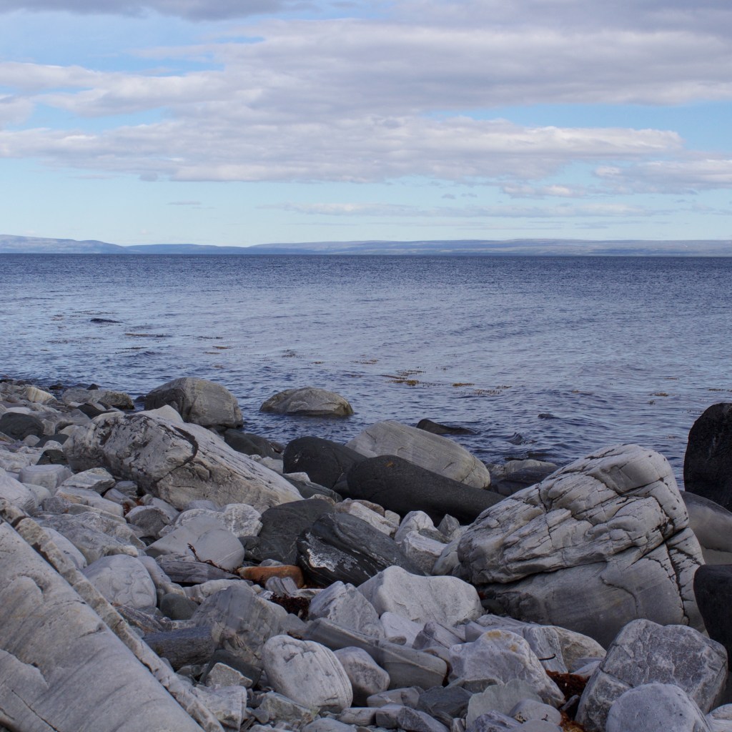 Arctic resilience to climate&nbsp;change