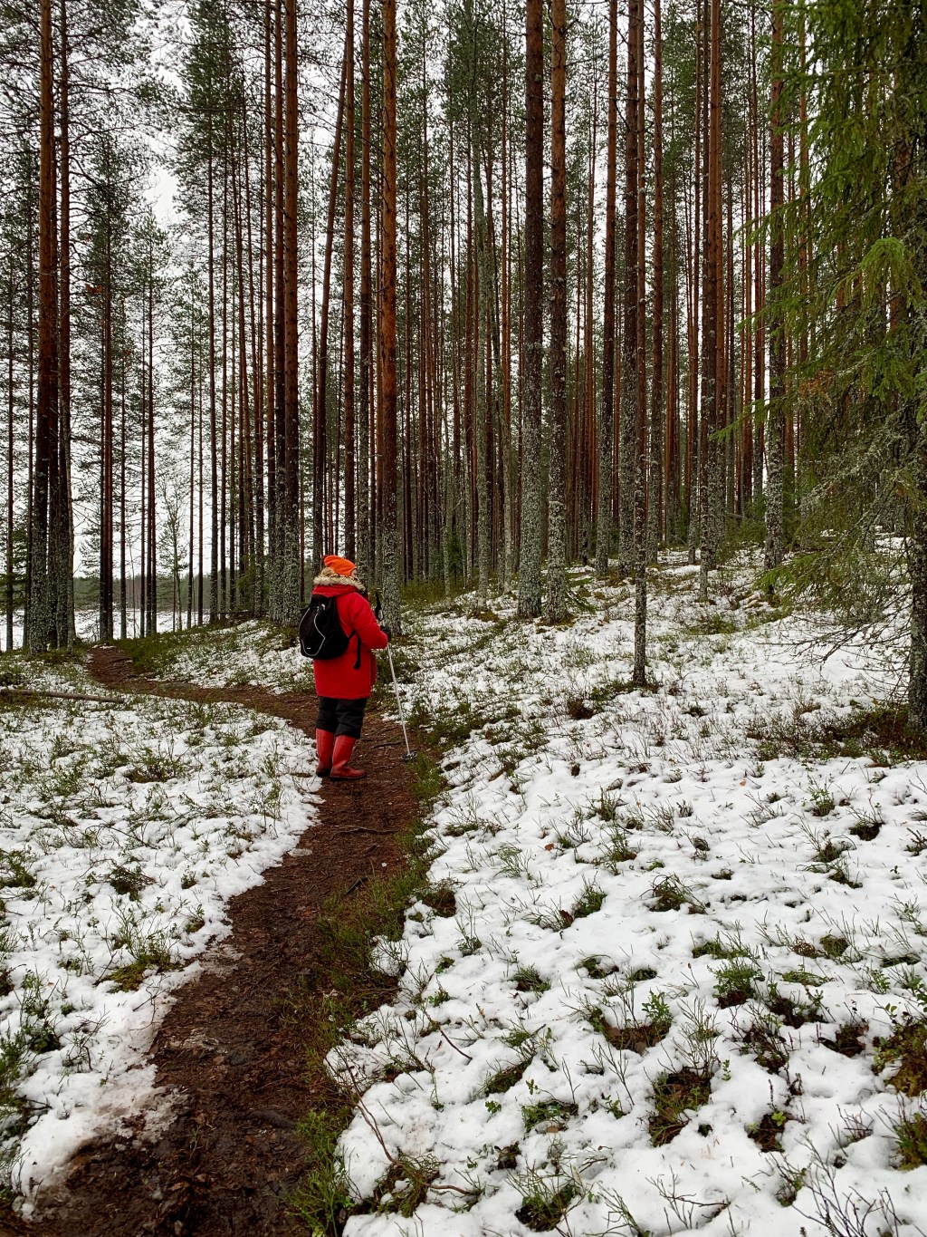 Loss of local and indigenous&nbsp;knowledge