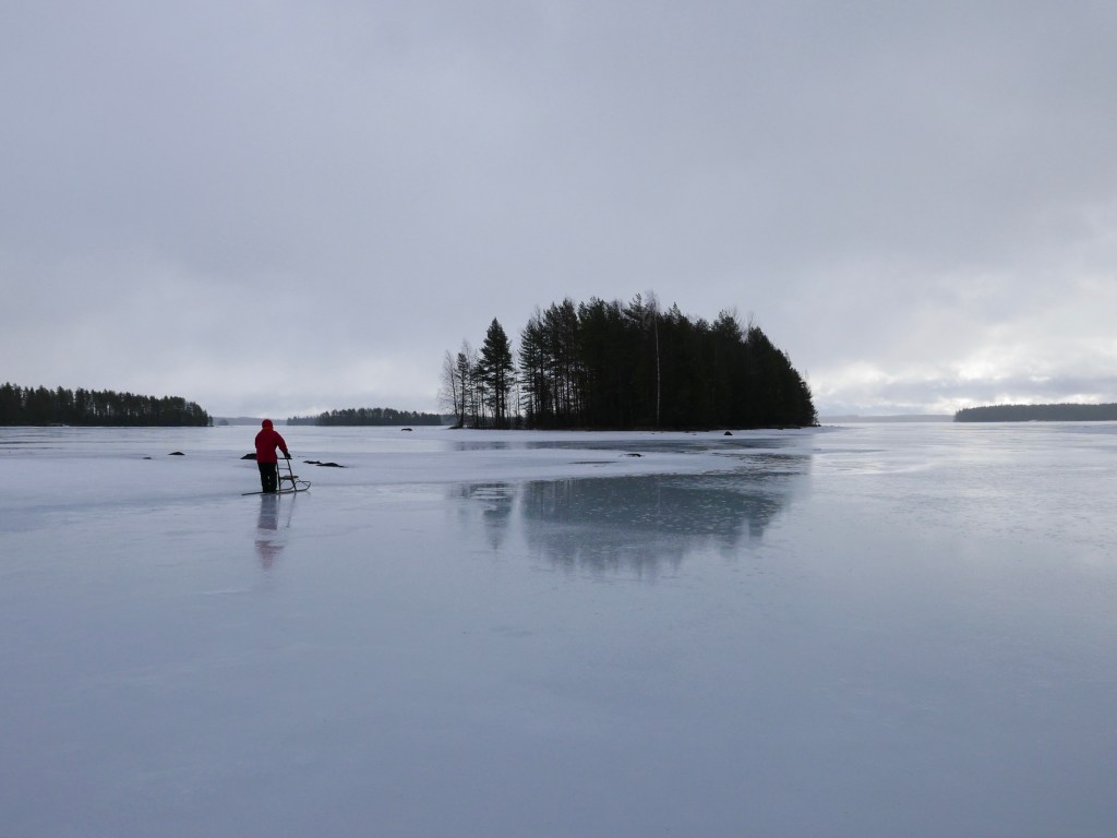 Complex systems view on how value change co-evolves with sustainability&nbsp;transformation