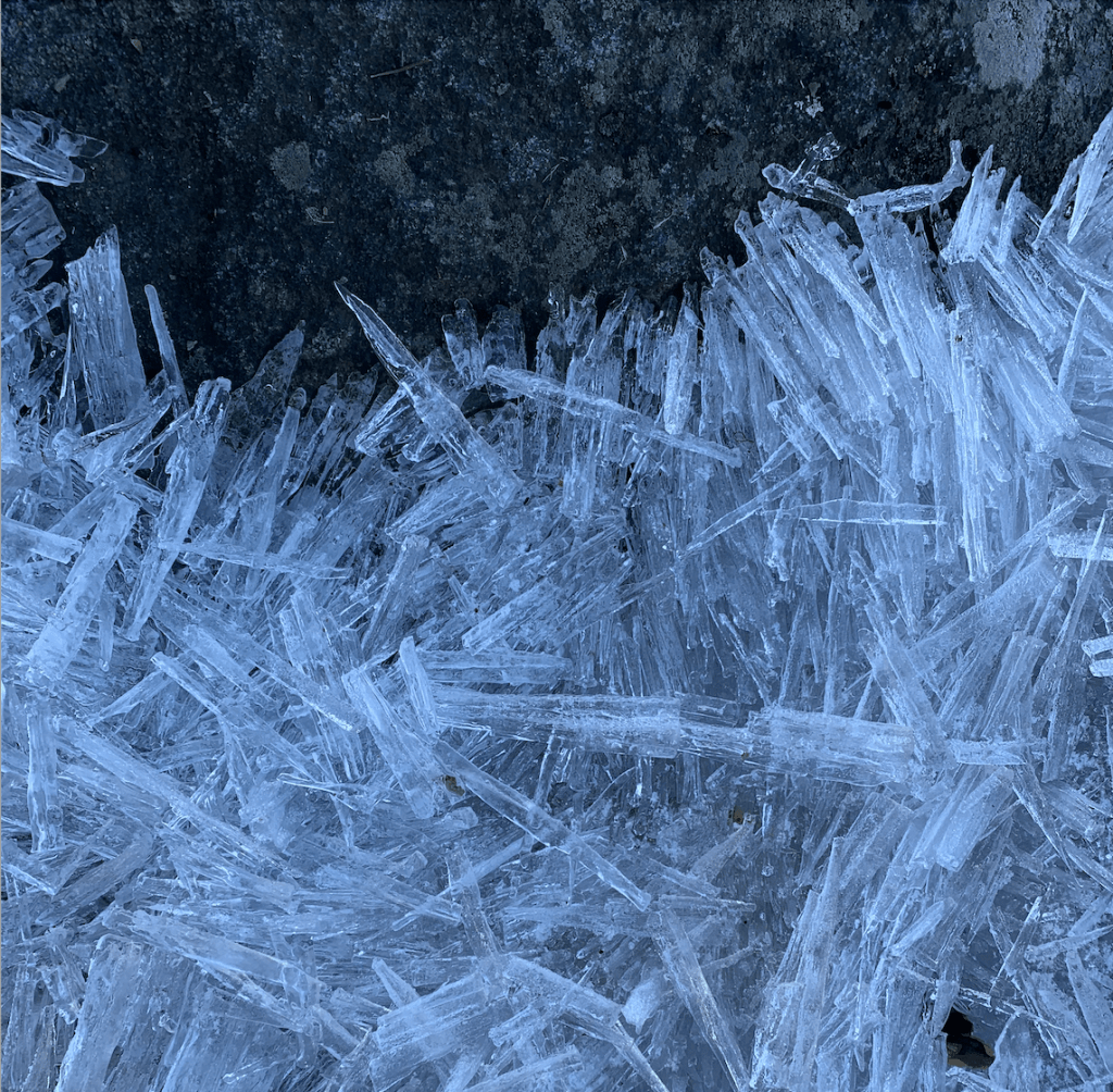 Modeling social-ecological systems