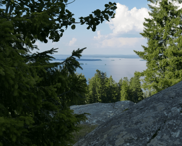 Forests: social-ecological resilience and sustainability&nbsp;transformation